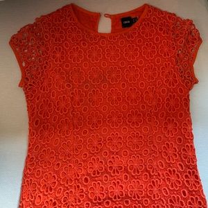 **Orange Eyelet Dress